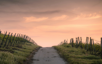 Discipleship Pathway